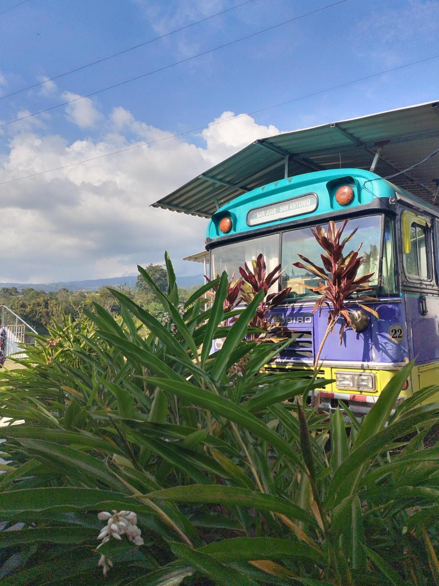 Dreamcatcher House Bus Experience 2 Sarchi Exterior photo